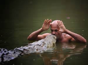 Thic Duc punches croc